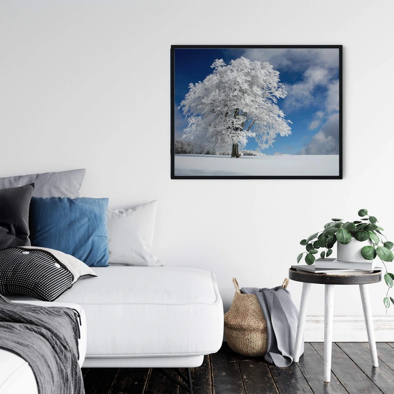 Poster Schumacher - White Winter Tree 