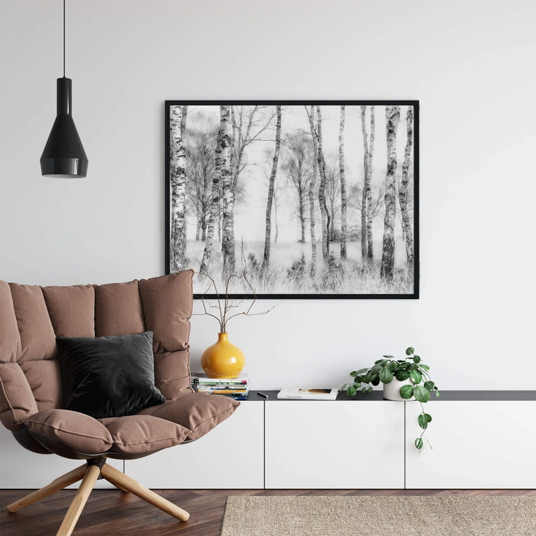 Poster Talen - Schwarz-weißer Birkenwald 