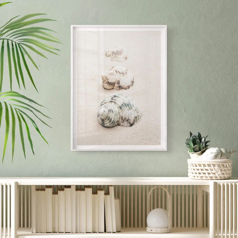 Poster 1X Studio - Meeresschnecken 