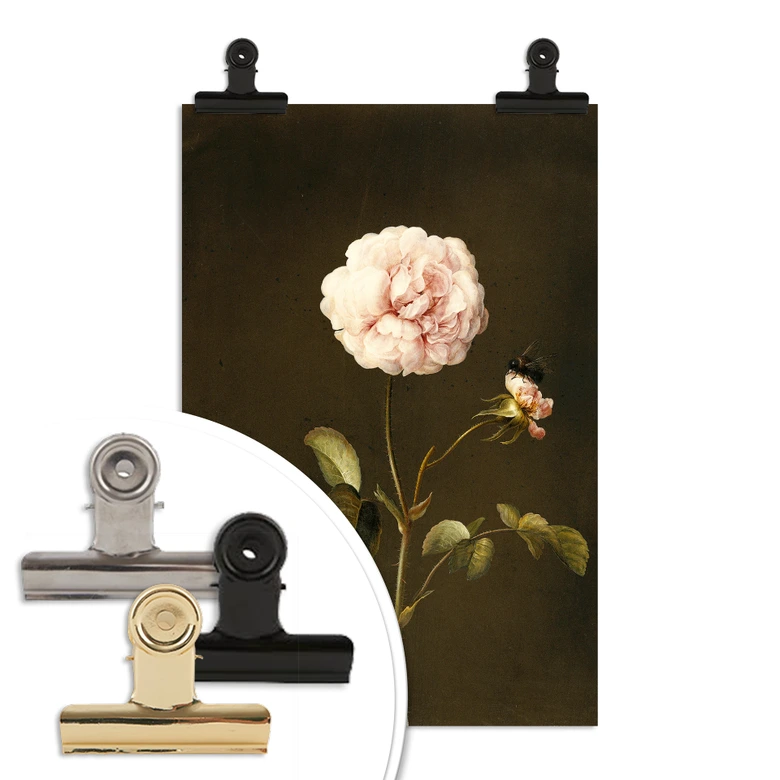 Poster Dietzsch - Essig-Rose mit Hummel 
