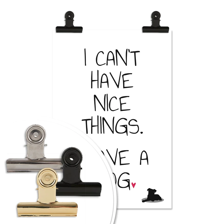 Poster I can\'t have nice Things - Dog 
