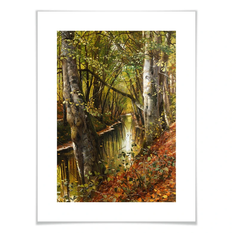 Poster Moensted - Ein Waldbach 