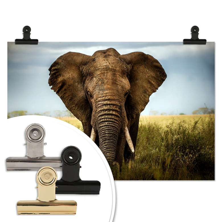 Poster Ghizzi-Panizza - Begegnungen in der Savanne 