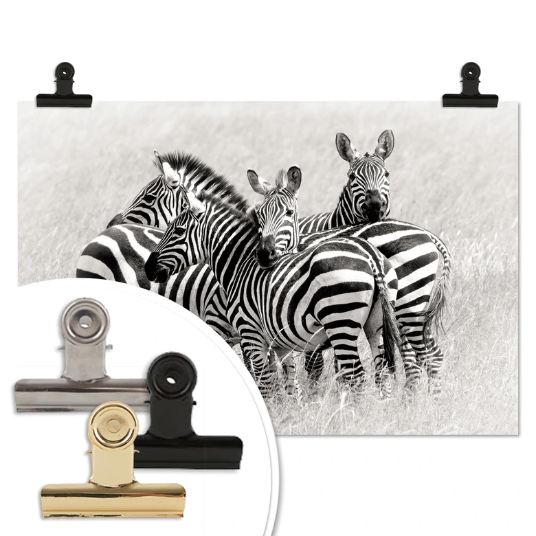 Poster Trubitsyn - Zebras in der Savanne 