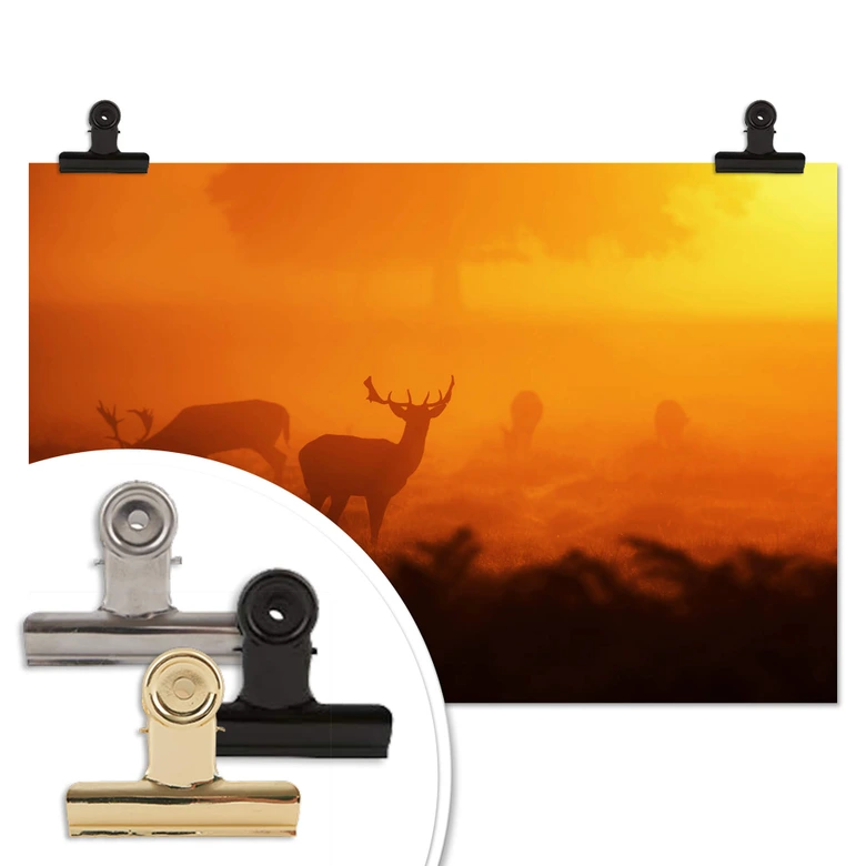 Poster Hert met zonsondergang 