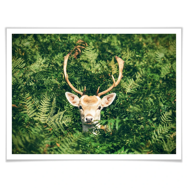 Poster Versteckspiel im Wald 