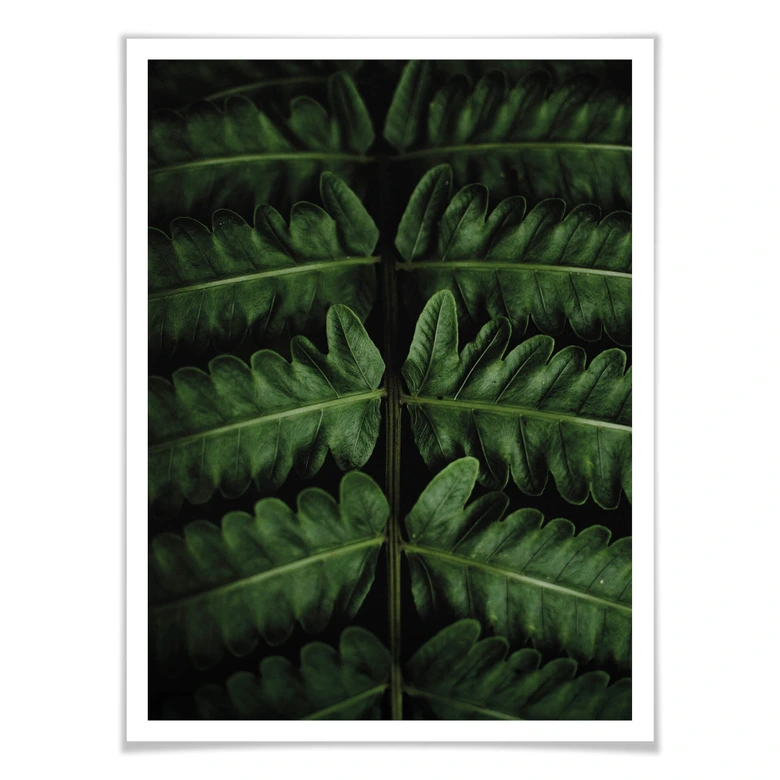 Poster Botanical 02  