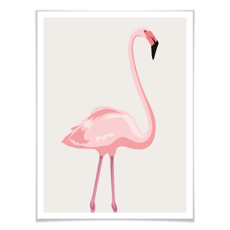 Poster Flamingo 01 