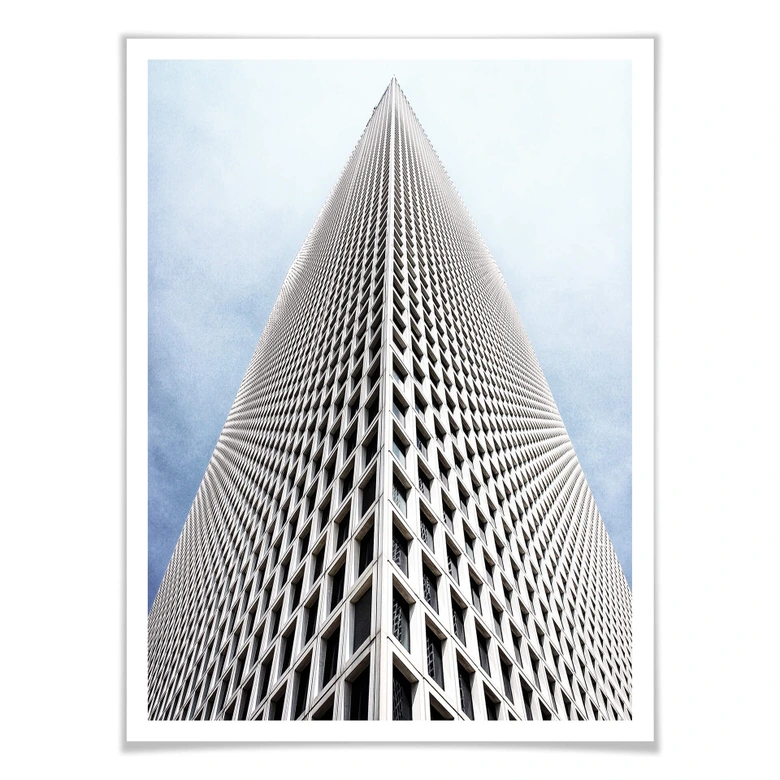 Perspectivas del Póster 