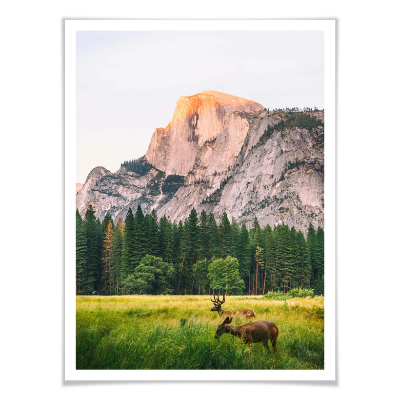 Poster Deers in the Mountains 