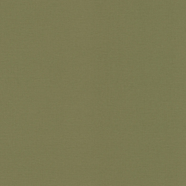 Rasch Vliesbehang Salsa khaki 