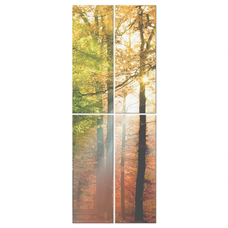 Raumteiler, Paravent, Sichtschutz hängend Goldener Herbst Wald 