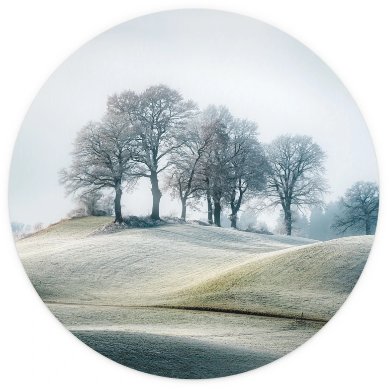 Colinas heladas | fotomural naturaleza - Eisenmann - redondo - Papel pintado autoadhesivo/no tejido 