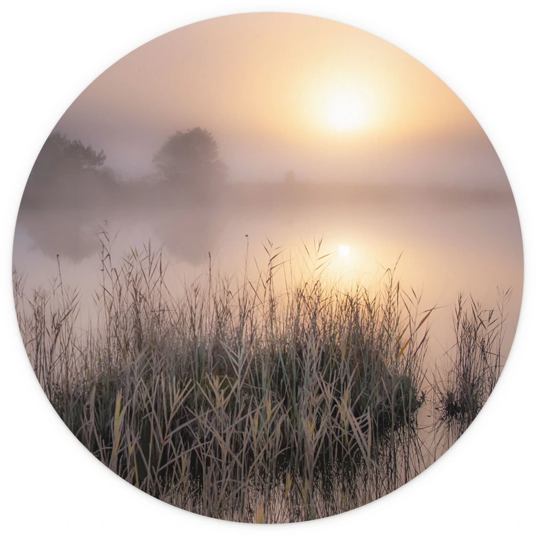 Wall mural Misty fall day | nature photography for the living room - Eisenmann - Round - non self-adhesive/self-adhesive wallpapers 