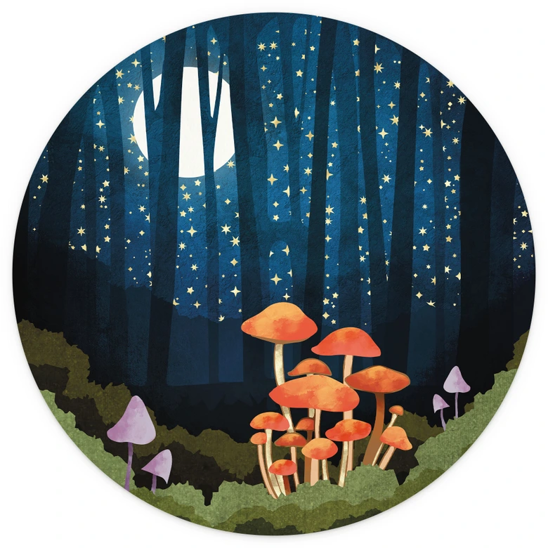 Tapet cirkel Skov og stjerner om natten - SpaceFrog Designs - vliesetapet/selvklæbende non-woven tapet 