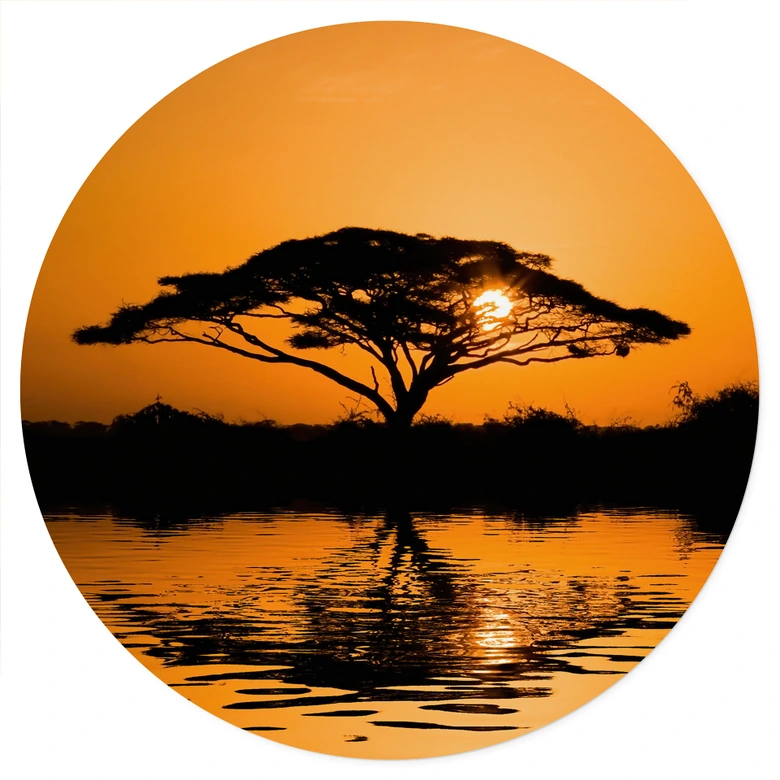 Wandtattoo Afrika | Landschaft beim Sonnenuntergang - Rund 