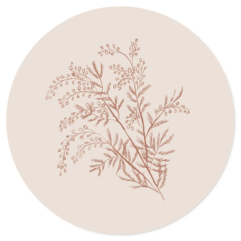 Wandtattoo Zweig der Akazie in Mokkafarben - Anis Illustration - Rund 