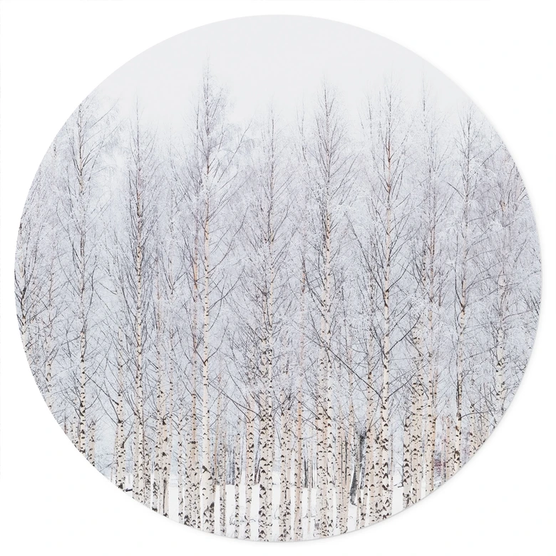 Wallsticker Birkeskov om vinteren - EMELIEmaria - Rund 