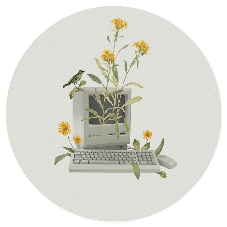 Wandtattoo Vintage Botanik-Computer - Frida Floral Studio - Rund 