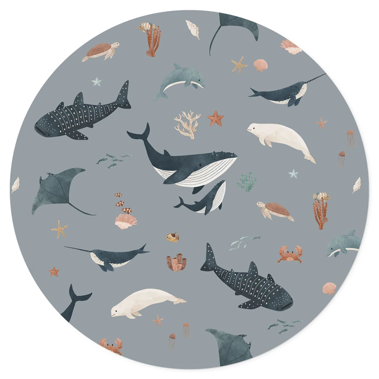 Stickers muraux Maritime - Baleines et animaux marins - Kikki Belle - Rond 