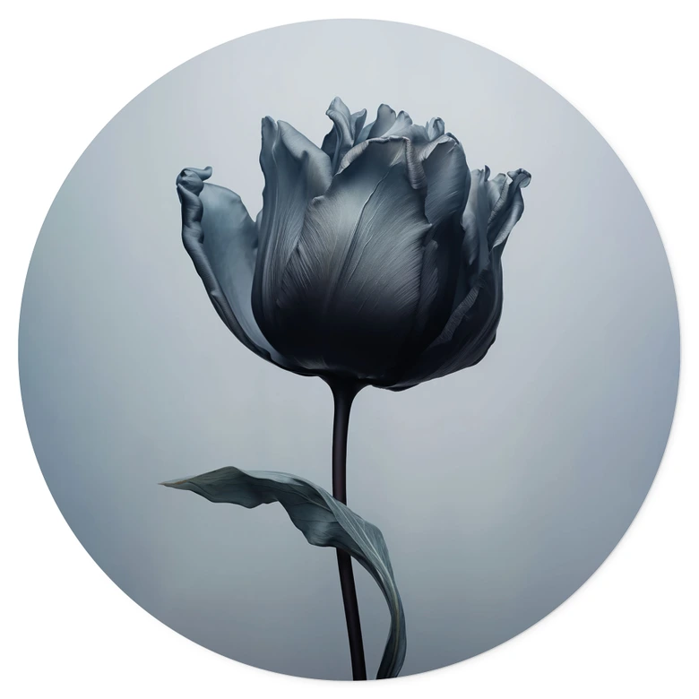 Sammetslen tulpan Wallsticker i svart - Paksoylu - Rund 