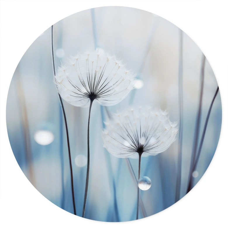 Wandtattoo Tauperlen auf Pusteblumen - Treechild - Rund 