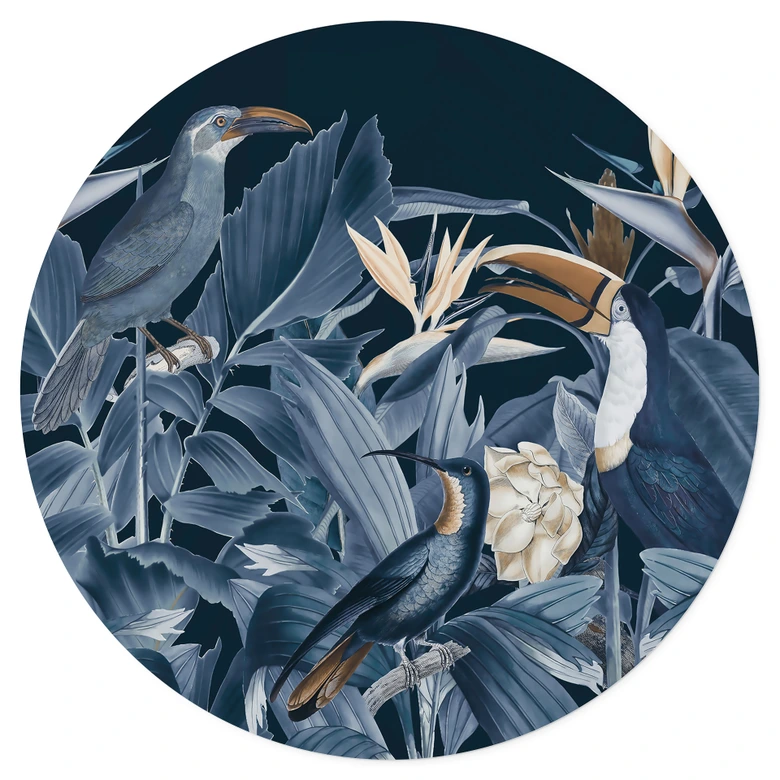 Sticker Mural Oiseaux tropicaux dans la forêt la nuit - Haase 