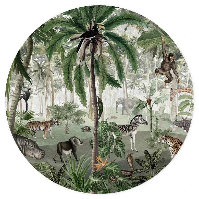 Muursticker rond Kikki Belle - Zoeken in de Jungle 