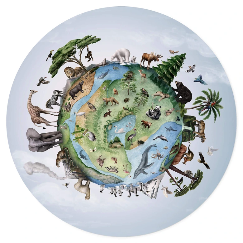 Muursticker rond Kikki Belle - Animals around the World 