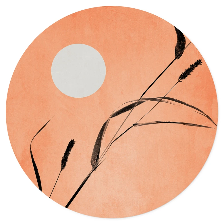 Wall Sticker  Siv i ferskenfarvet solskin - Kubistika 