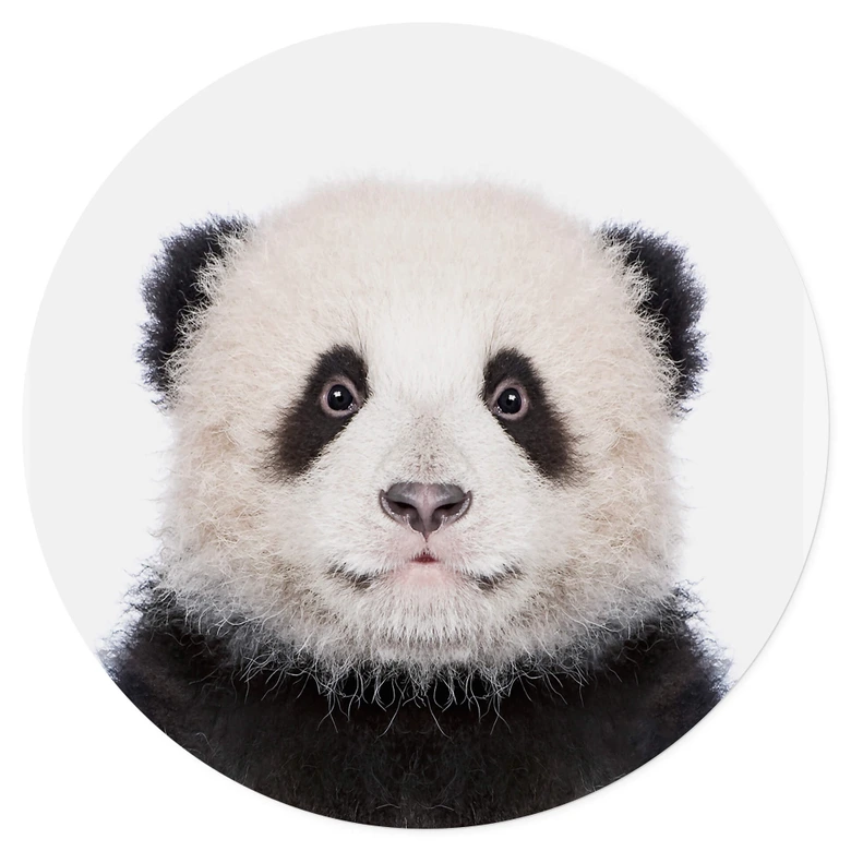Muursticker rond Sisi & Seb - Baby Panda 