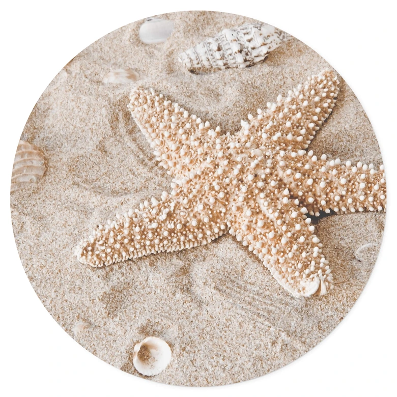 Muursticker Zeester op het Strand 