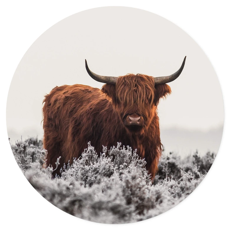 Wandtattoo van den Helm - Highlander - Rund 