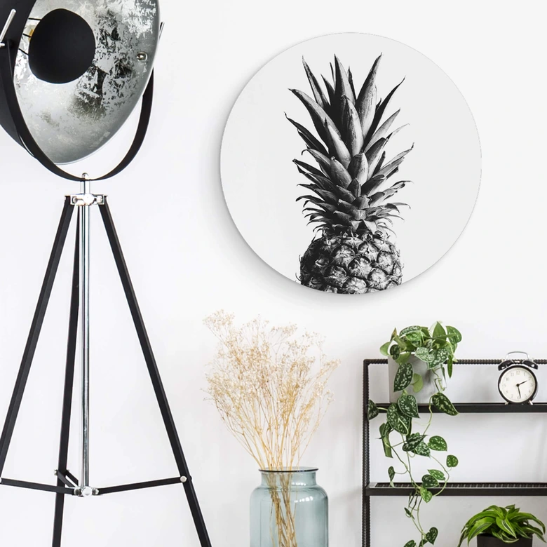Alu-Dibond 1X Studio - Ananas - Rund 