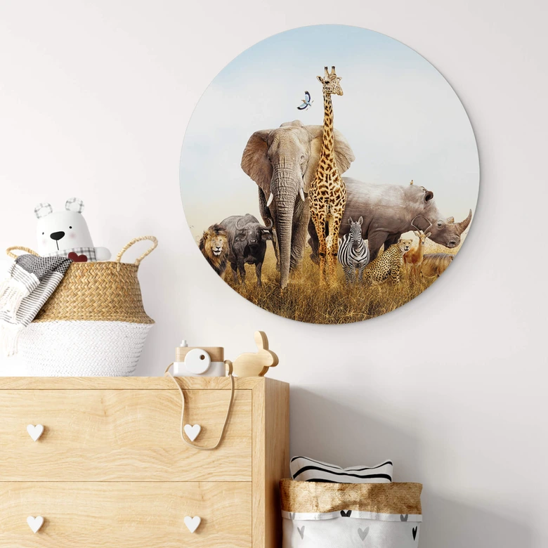 Alu-Dibond Afrikanische Tiere - Rund 