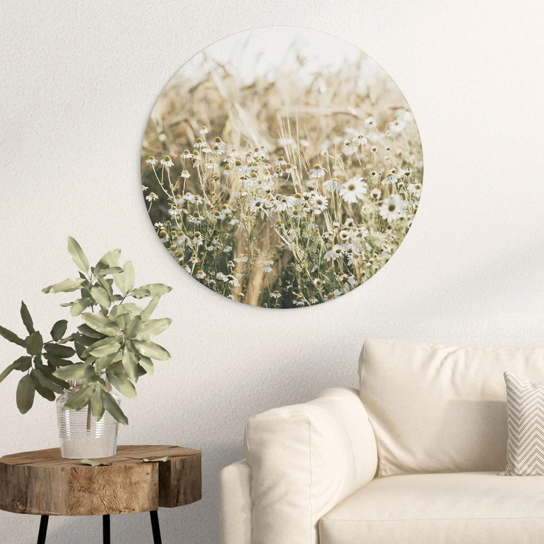 Wandbild Sommerwiese mit Kamille - Annie - Alu-Dibond Rund 