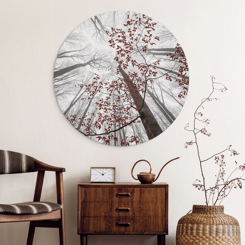 Wandbild Baumkronen mit roten Blättern - Alu-Dibond Rund - Coman 
