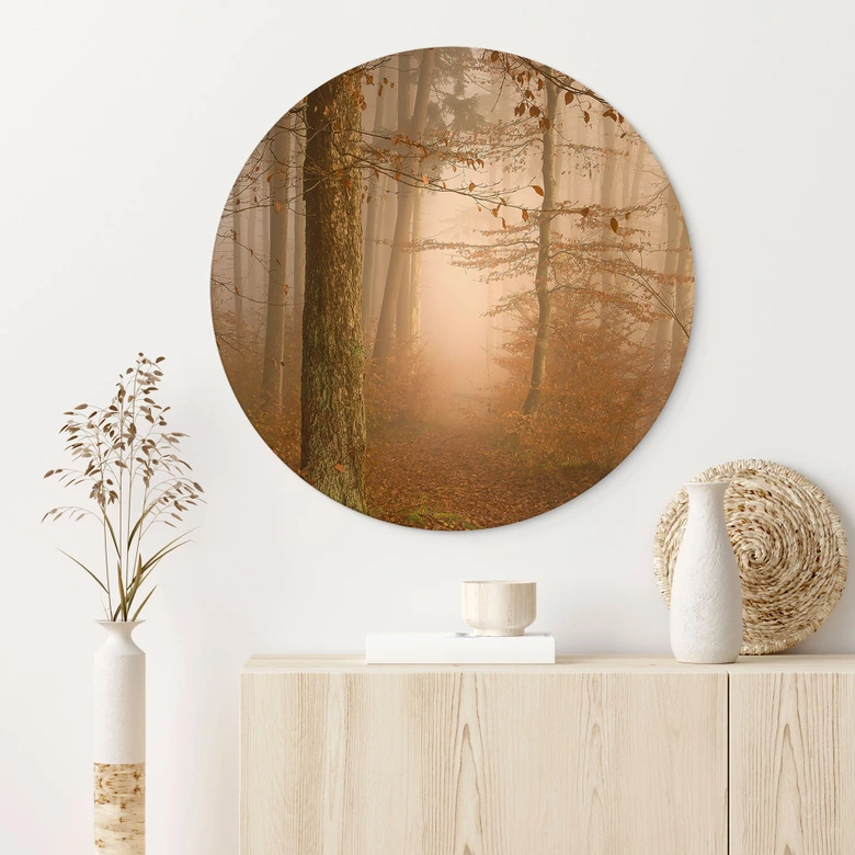 Wandbild Dunst und Licht im herbstlichen Wald - Maier - Alu-Dibond Rund 