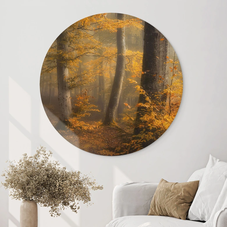 Wandbild Goldene Blätter im nebligen Wald - Maier - Alu-Dibond Rund 