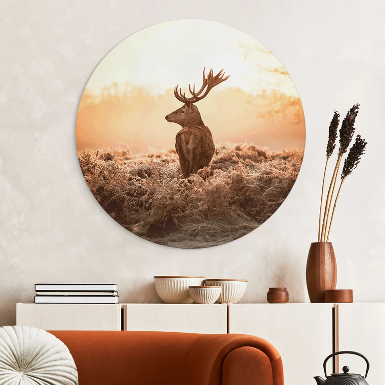 Wandbild Majestätischer Hirsch - Alu-Dibond Rund 