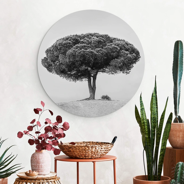 Wandcirkel Martin - Boom in het Zwart Wit 