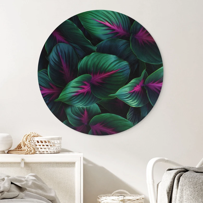 Dibond Wanddecoratie Kleurrijke jungleplanten - Paksoylu 