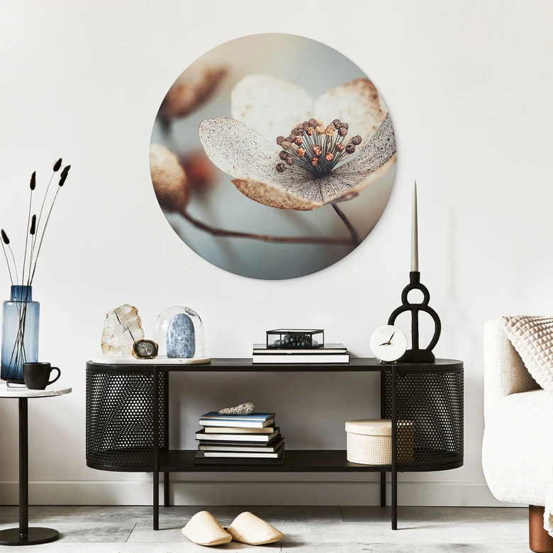 Wandbild Boho Trockenblume Makro - Treechild - Alu-Dibond Rund 