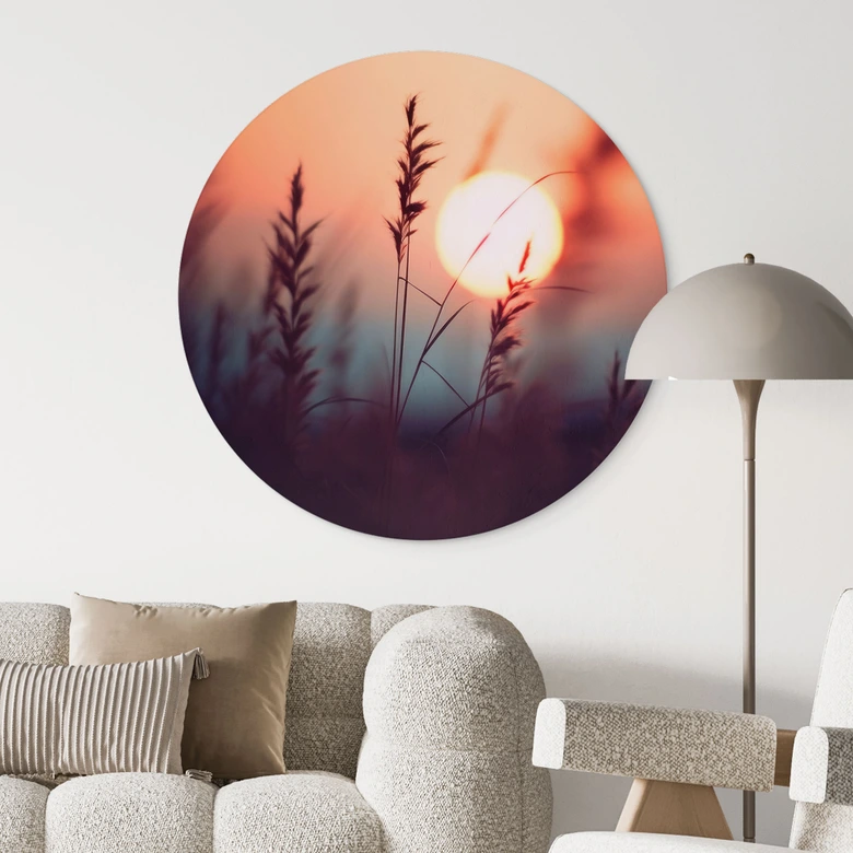 Wandbild Gräser im Licht der glühenden Sonne - Treechild - Alu-Dibond Rund 