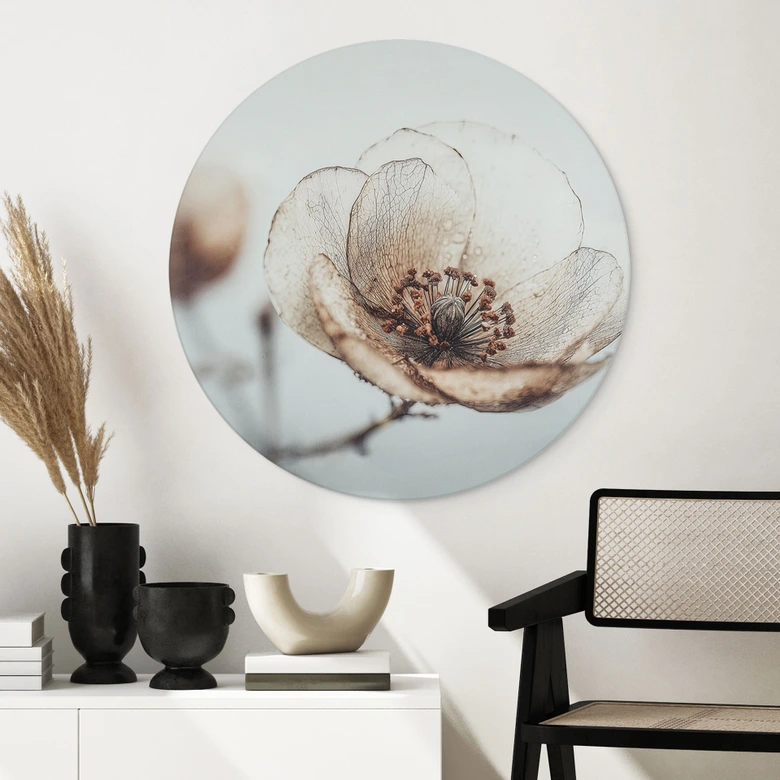 Wandbild Trockenblüte Beige Naturpoesie - Treechild - Alu-Dibond Rund 