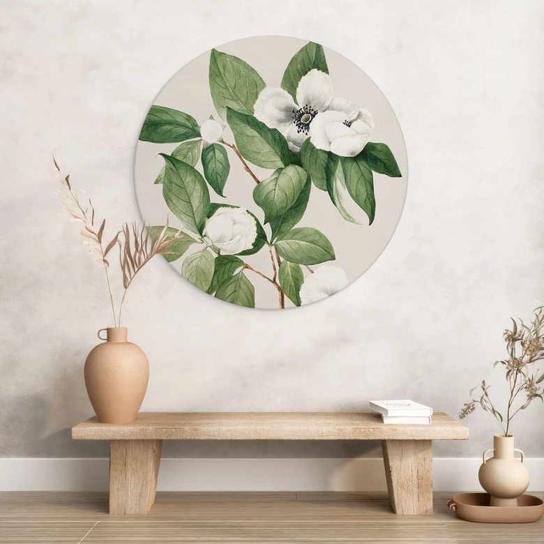 Wandbild Botanik Illustration einer Scheinkamelie - Walcott - Alu-Dibond - Rund 