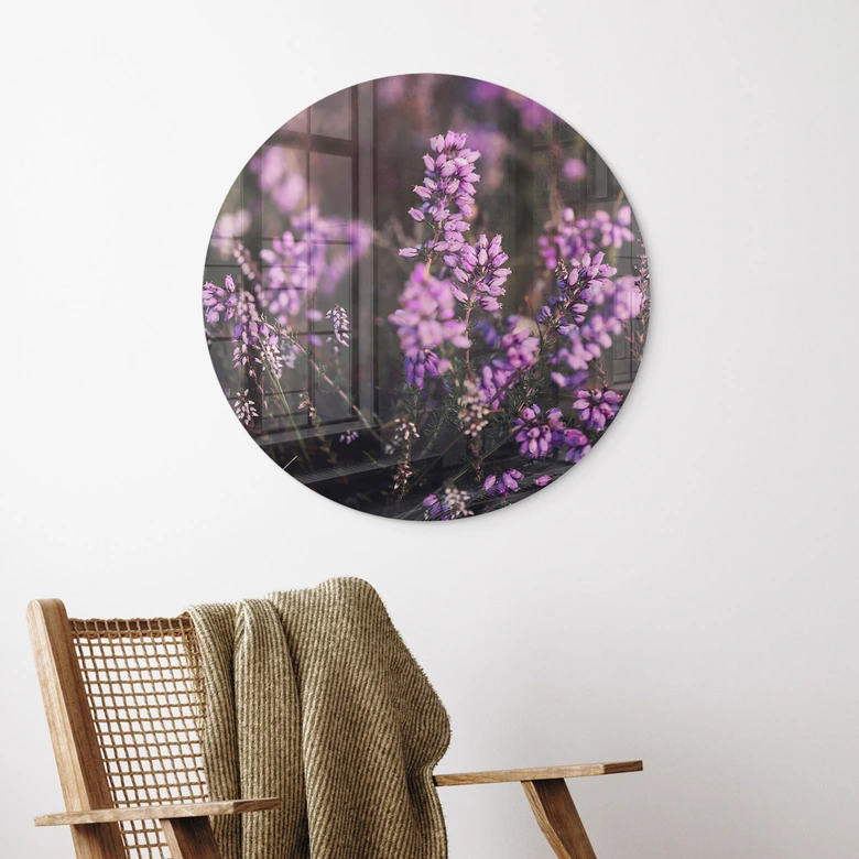 Glasbild Lila Heideblüte im warmen Licht - Annie - Rund 