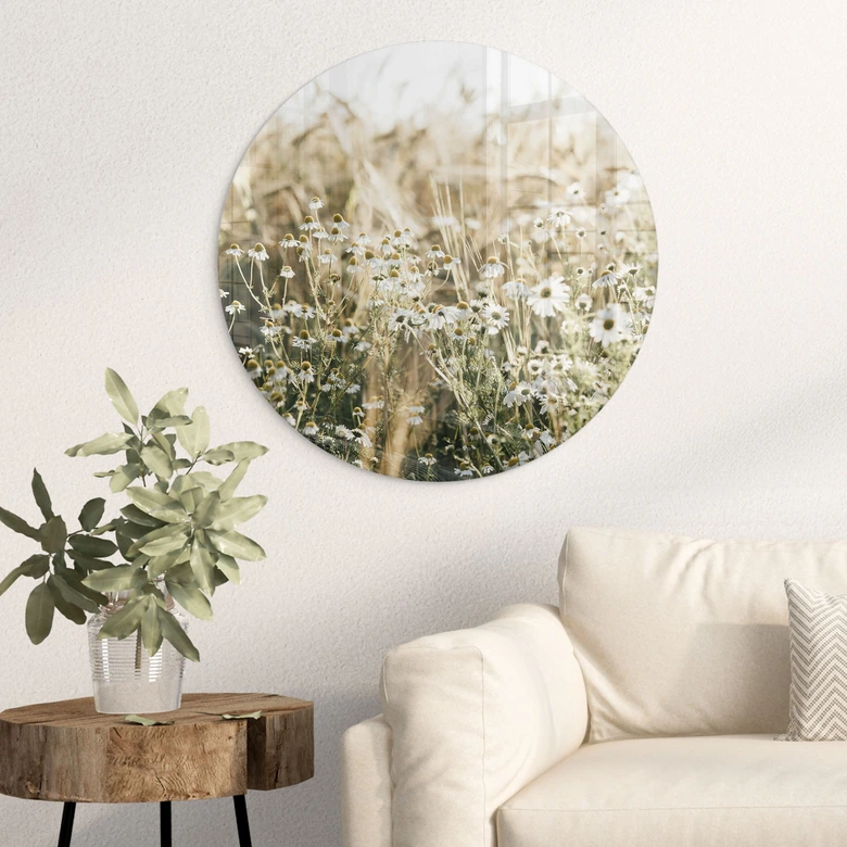 Glasbild Sommerwiese mit Kamille - Annie - Rund 