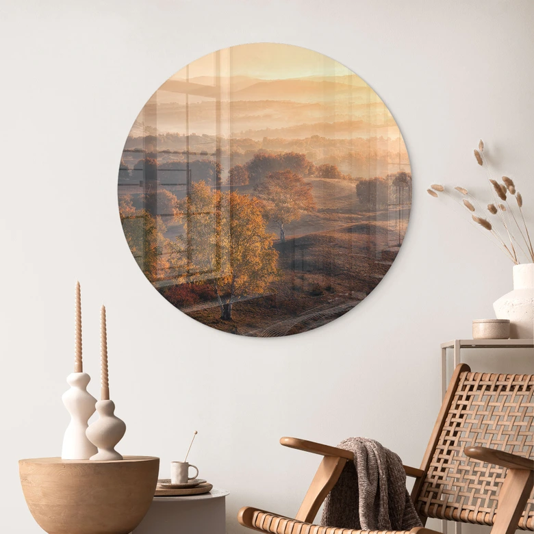 Glasbild Birkenbäume im goldenen Morgentau - Cui - Rund 