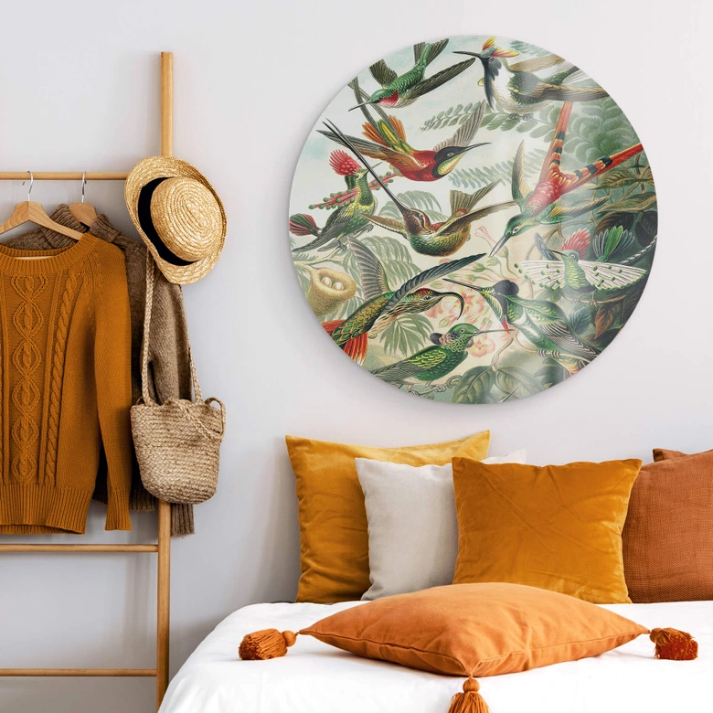 Glasschilderij Rond Haeckel - Kolibries 